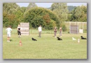 dsc_011811887.jpg
