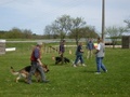 sdc10143.jpg