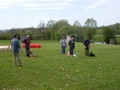 sdc10146.jpg