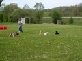 sdc10147.jpg