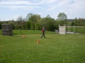 sdc10153.jpg