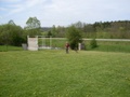 sdc10156.jpg
