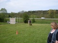 sdc10158.jpg