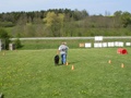 sdc10169.jpg