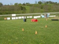 sdc10171.jpg